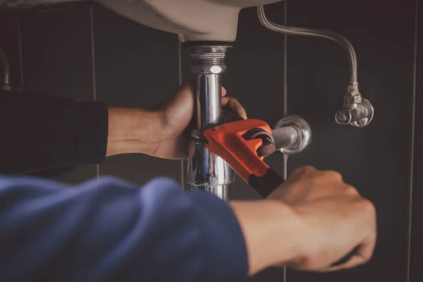 Best Commercial Plumbing Services  in Dakota Ridge, CO